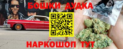 гидропоника Можга